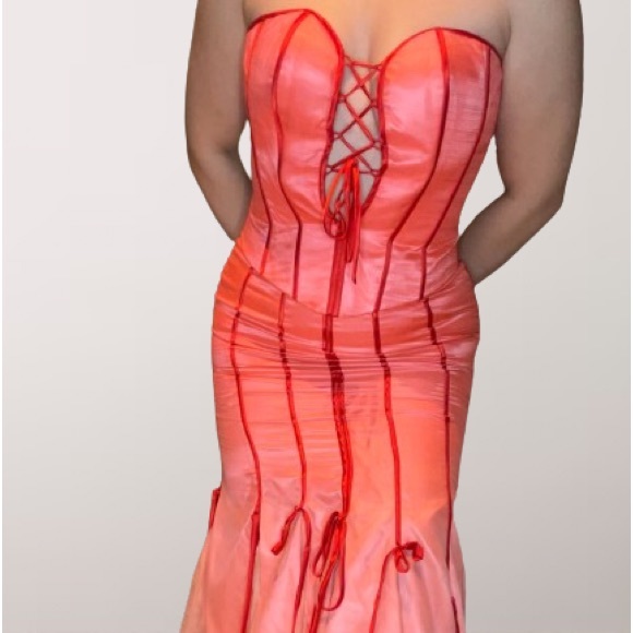 Coquette/ Fairy Core Prom Dress - Picture 4 of 9